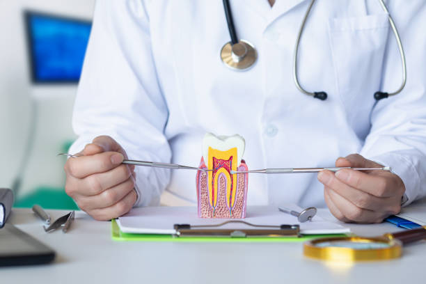 Best Cosmetic Emergency Dentistry in Sand Lake, MI